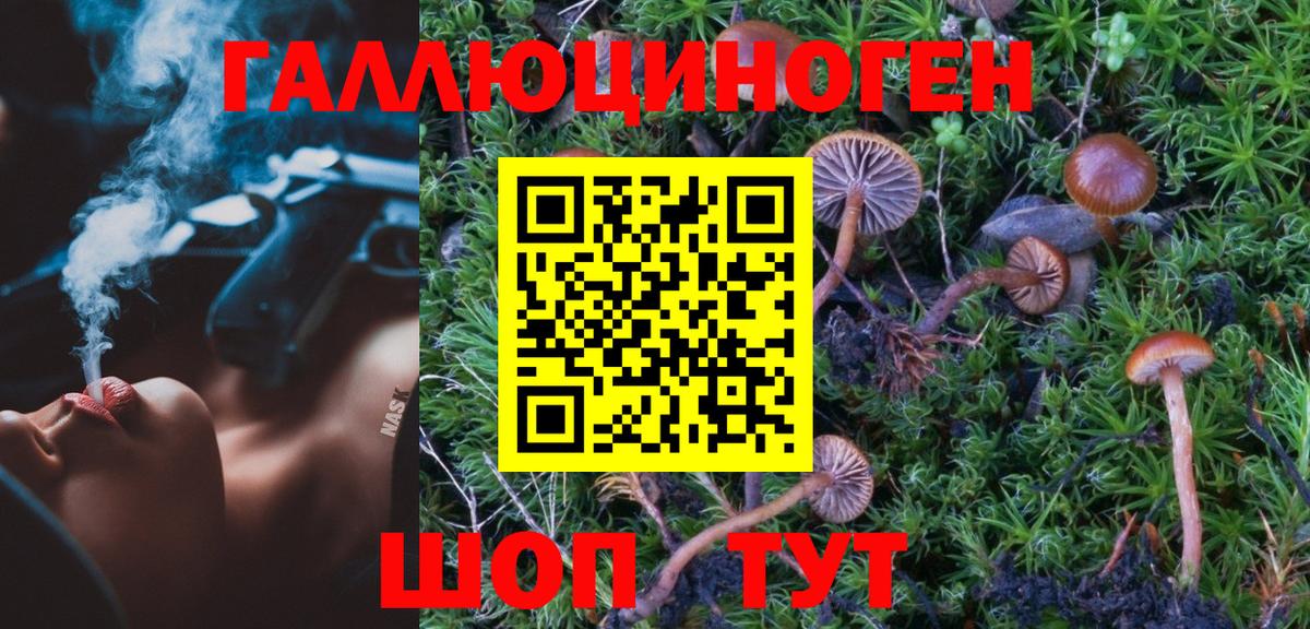 Галлюциногенные грибы Psilocybe  сколько стоит  Галлюциногенные грибы Psilocybe  Осинники  Вход с VPN 